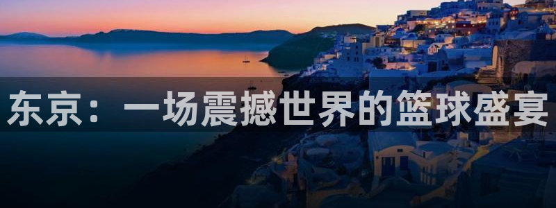 东京：一场震撼世界的篮球盛宴