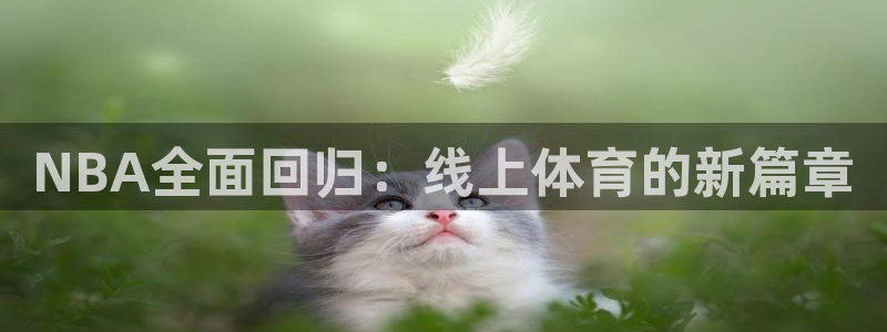 NBA全面回归：线上体育的新篇章
