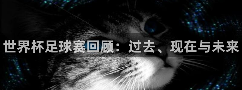 MK体育官方网页：世界杯足球赛回顾：过去、现在与未来