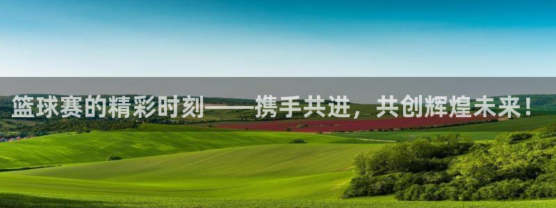 MK体育电竞：篮球赛的精彩时刻——携手共进，共创辉煌未来！