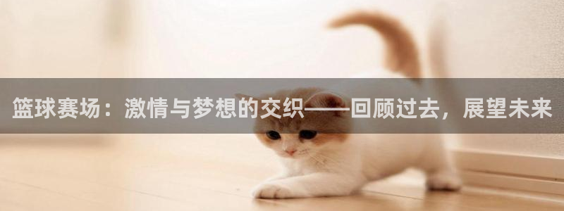 mk体育系列平台：篮球赛场：激情与梦想的交织——回顾过去，展