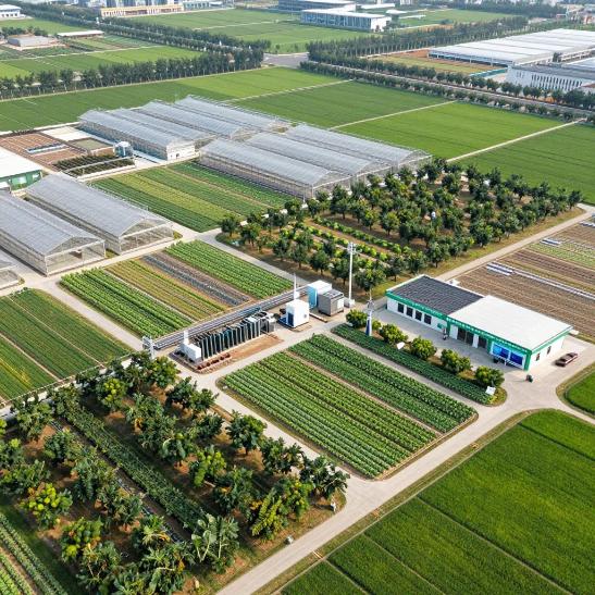 农行惠州分行金融赋能生态优势向发展优势转化第二张图