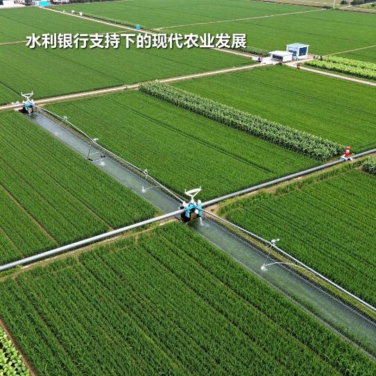 中国农业发展银行自贡市分行聚焦“四大板块” 绘就乡村振兴新图景第二张图