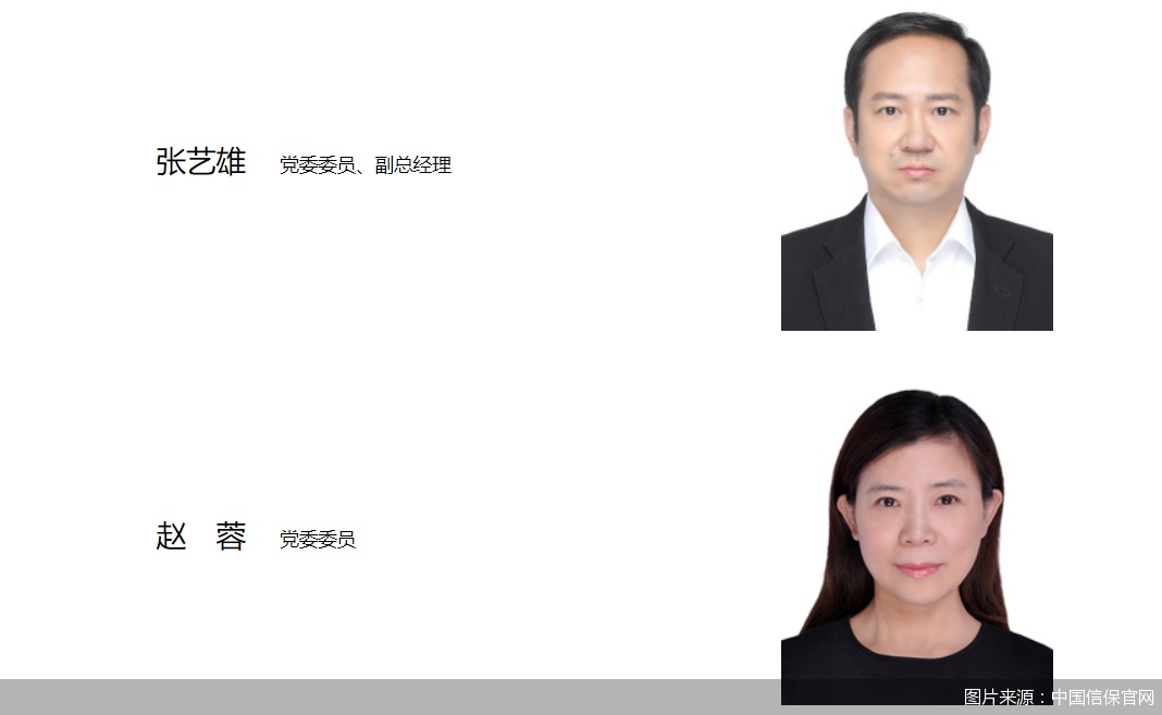 图片来源：中国信保官网