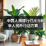 中国人民银行已出台数字人民币行动方案（图4）