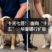 十天七签！ 面向“十五五”，华夏银行扩容“朋友圈”（图2）