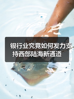 银行业究竟如何发力支持西部陆海新通道（图3）