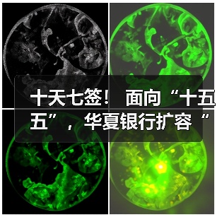 十天七签！ 面向“十五五”，华夏银行扩容“朋友圈”（图1）