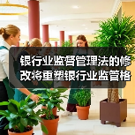 银行业监督管理法的修改将重塑银行业监管格局（图4）