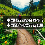 中国银行业协会发布《中国资产托管行业发展报告(2022)》(图3) 中国银行业协会发布《中国资产托管行业发展报告(2022)》(图3)
