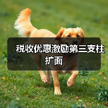 税收优惠激励第三支柱扩面(图2) 税收优惠激励第三支柱扩面(图2)
