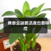 普惠金融要温度也要精度（图3）