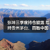 张坤三季度持仓披露 增持贵州茅台、百胜中国（图2）
