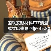 国联安新材料ETF清盘 成立以来总回报-35.80%（图2）