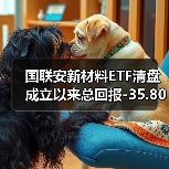 国联安新材料ETF清盘 成立以来总回报-35.80%（图3）