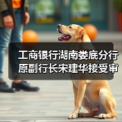 工商银行湖南娄底分行原副行长宋建华接受审查调查(图4) 工商银行湖南娄底分行原副行长宋建华接受审查调查(图4)