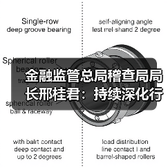 金融监管总局稽查局局长邢桂君:持续深化行政执法与刑事司法衔接协作(图3) 金融监管总局稽查局局长邢桂君:持续深化行政执法与刑事司法衔接协作(图3)