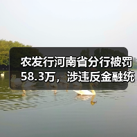 农发行河南省分行被罚58.3万,涉违反金融统计规定(图1) 农发行河南省分行被罚58.3万,涉违反金融统计规定(图1)