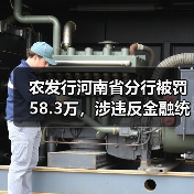 农发行河南省分行被罚58.3万,涉违反金融统计规定(图2) 农发行河南省分行被罚58.3万,涉违反金融统计规定(图2)