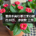 重庆农商行綦江支行被罚30万，涉贷款'三查'严重不尽职（图2）