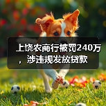 上饶农商行被罚240万,涉违规发放贷款(图1) 上饶农商行被罚240万,涉违规发放贷款(图1)