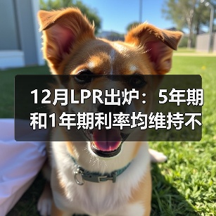 12月LPR出炉：5年期和1年期利率均维持不变（图2）