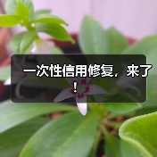 一次性信用修复,来了!(图4) 一次性信用修复,来了!(图4)