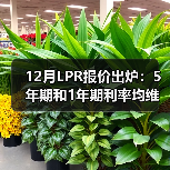 12月LPR报价出炉:5年期和1年期利率均维持不变(图2) 12月LPR报价出炉:5年期和1年期利率均维持不变(图2)