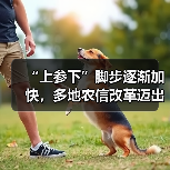 “上参下”脚步逐渐加快，多地农信改革迈出实质性一步（图2）