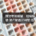 理财市场展望：规模稳增 资产配置迎调整 估值整改全面落地 行业生态重塑可期（图2）