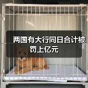 两国有大行同日合计被罚上亿元（图4）