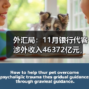 外汇局：11月银行代客涉外收入46372亿元，对外付款45112亿元（图3）