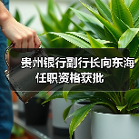 贵州银行副行长向东海任职资格获批（图3）