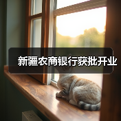 新疆农商银行获批开业（图3）