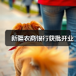 新疆农商银行获批开业（图2）