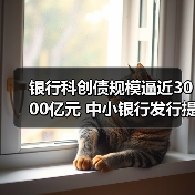 银行科创债规模逼近3000亿元 中小银行发行提速（图4）