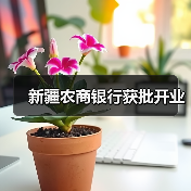 新疆农商银行获批开业（图1）