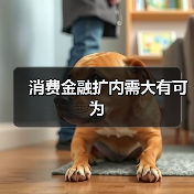 消费金融扩内需大有可为（图4）