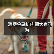 消费金融扩内需大有可为（图1）