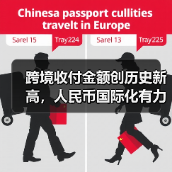 跨境收付金额创历史新高,人民币国际化有力支撑实体经济(图4) 跨境收付金额创历史新高,人民币国际化有力支撑实体经济(图4)
