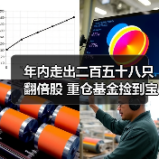 年内走出二百五十八只翻倍股 重仓基金捡到宝(图4) 年内走出二百五十八只翻倍股 重仓基金捡到宝(图4)