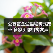 公募基金迎里程碑式改革 多家头部机构发声(图1) 公募基金迎里程碑式改革 多家头部机构发声(图1)