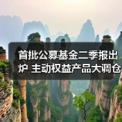 首批公募基金二季报出炉 主动权益产品大调仓（图3）