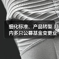 细化标准、产品转型 月内多只公募基金变更业绩比较基准(图4) 细化标准、产品转型 月内多只公募基金变更业绩比较基准(图4)