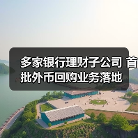 多家银行理财子公司 首批外币回购业务落地（图4）