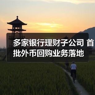 多家银行理财子公司 首批外币回购业务落地（图2）
