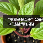 “专业基金买手”公募FOF选基策略揭晓(图4) “专业基金买手”公募FOF选基策略揭晓(图4)
