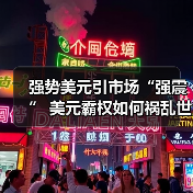 强势美元引市场“强震” 美元霸权如何祸乱世界(图3) 强势美元引市场“强震” 美元霸权如何祸乱世界(图3)