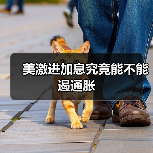 美激进加息究竟能不能遏通胀（图1）
