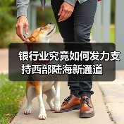 银行业究竟如何发力支持西部陆海新通道（图1）